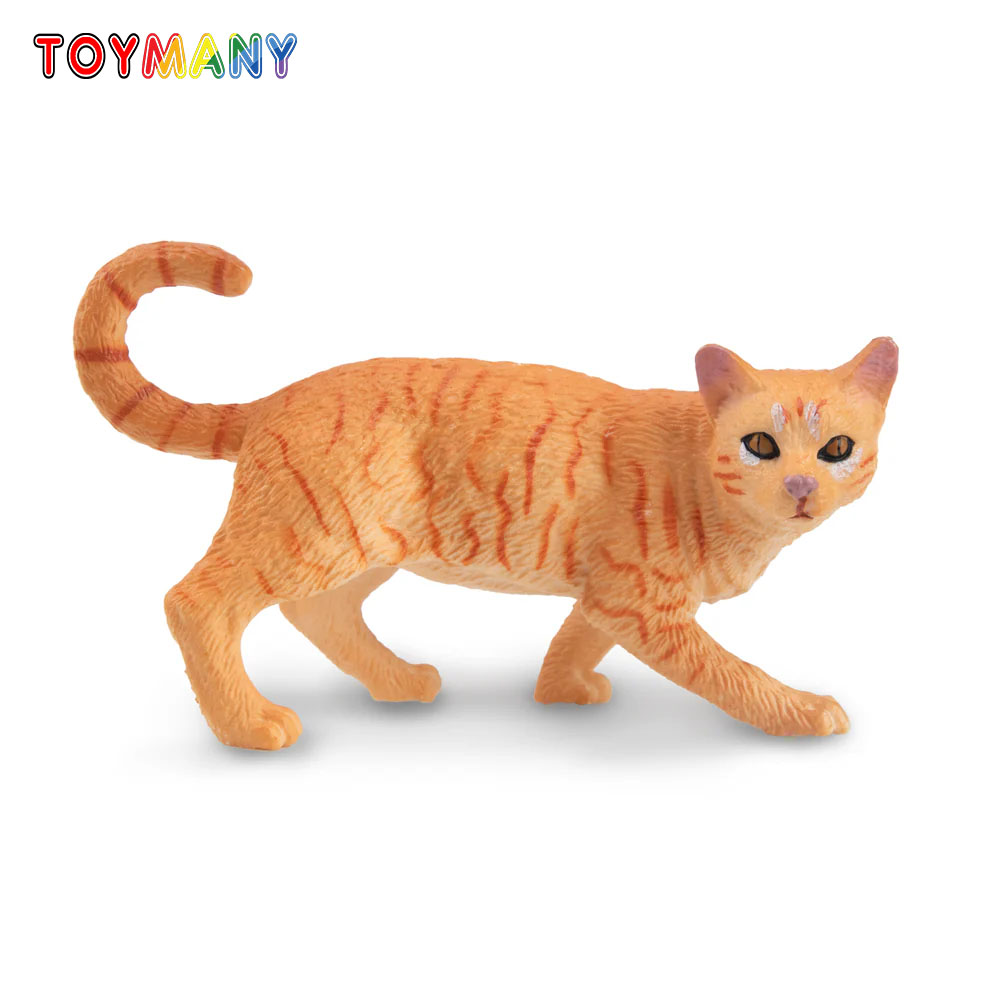 Toymany Моделирование Striding – обзор и цена Kids First Education